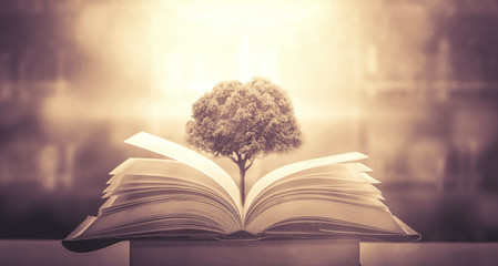 文明交通安全出行手抄报内容