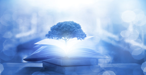 幼儿园安全教案