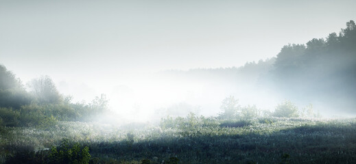 为什么移动硬盘不显示