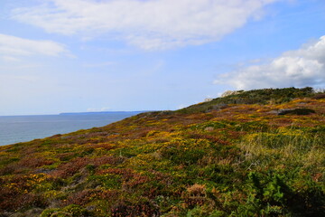 送朋友香水礼物的祝福语