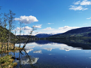 为什么主流的数码产品的默认颜色全是黑的-