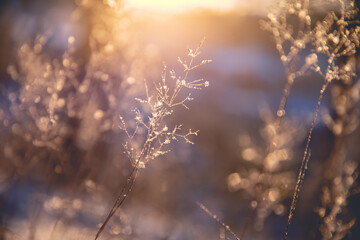 我怕来不及 我要抱着你后面一句是怎么说的