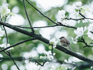 幼儿园安全教案
