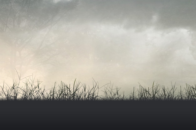 为什么主流的数码产品的默认颜色全是黑的-