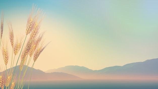 小学生五年级分数口算题（有答案的）50道？