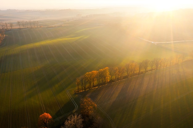 送朋友香水礼物的祝福语