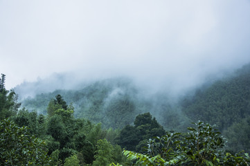 小学生五年级分数口算题（有答案的）50道？